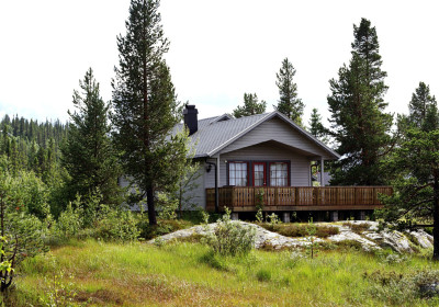 О нас — фото-630_6